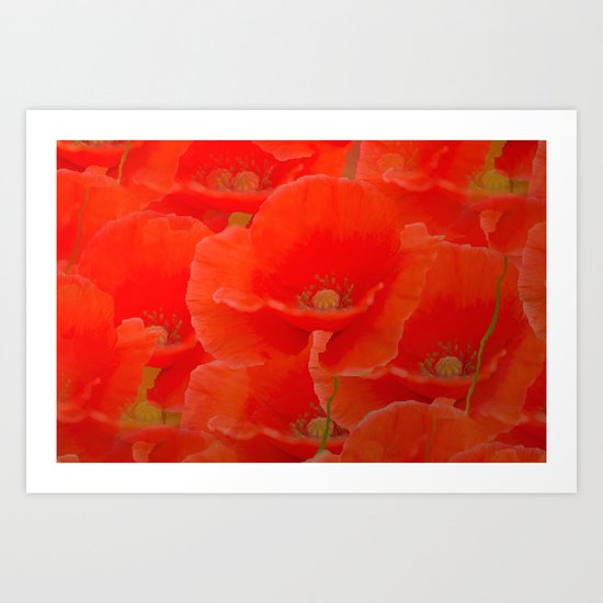 Red Poppies Art Print
