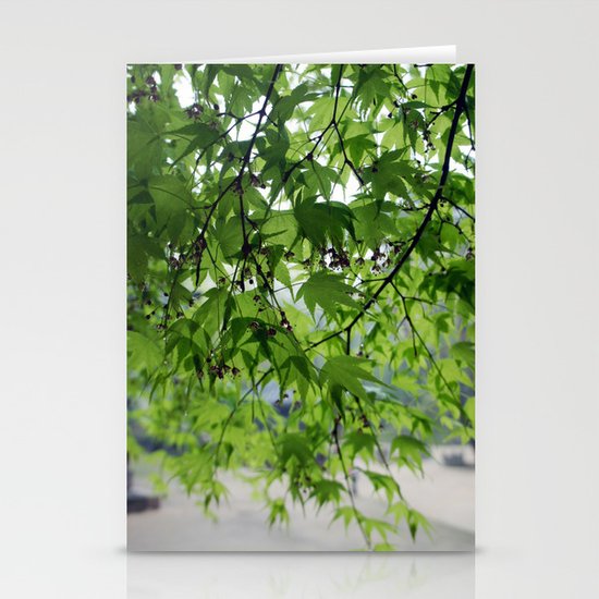 secret garden 24 Stationery Cards