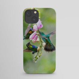 Three Costa Rican Hummingbirds in the Rain iPhone Case