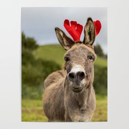 Christmas season, donkey with decoration, funny and cute animal. Poster