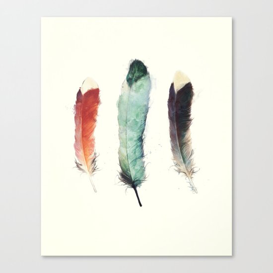 Feathers Canvas Print