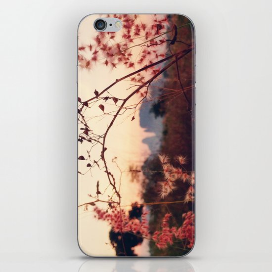 Desert Sakura iPhone & iPod Skin