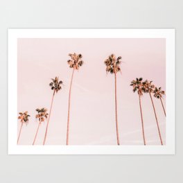 Summer Palms Art Print