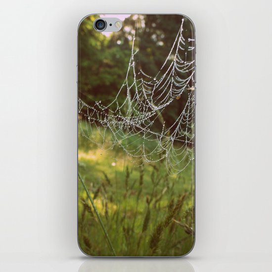 Beads on a String iPhone & iPod Skin