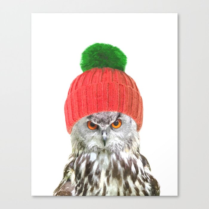 Owl with cap winter holidays Canvas Print