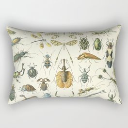 Vintage Insects Poster - Adolphe Millot Rectangular Pillow