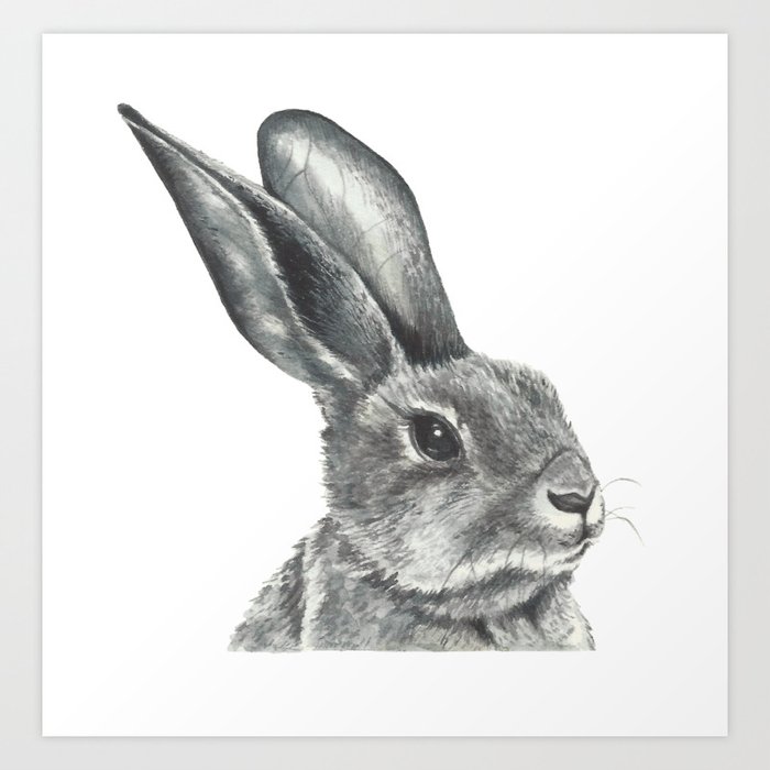Watercolor drawing of a hare Art Print