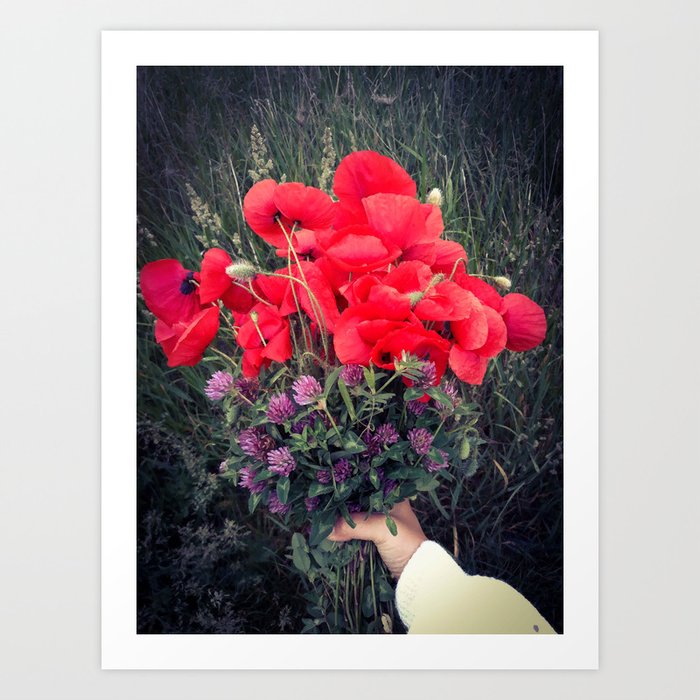 Summer red poppies and clover bloquet in woman's hand field essence Art Print