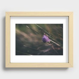 Purple Flower Recessed Framed Print