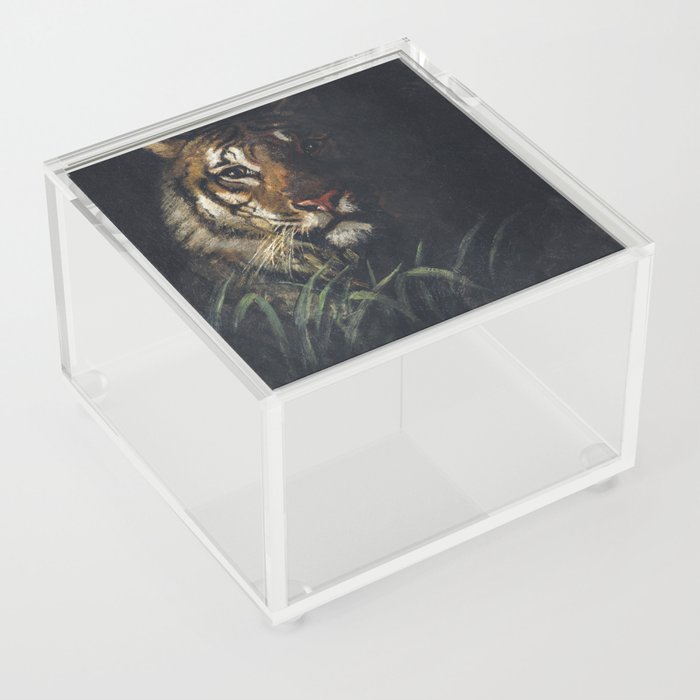 Tiger's Head  Acrylic Box