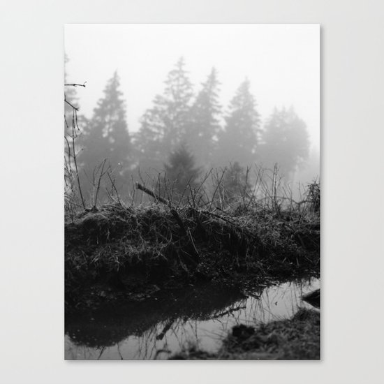 silence Canvas Print