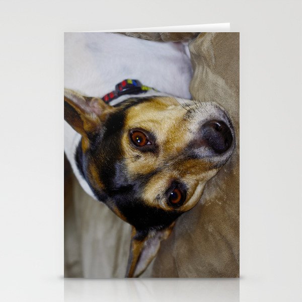 Terrier Stationery Cards