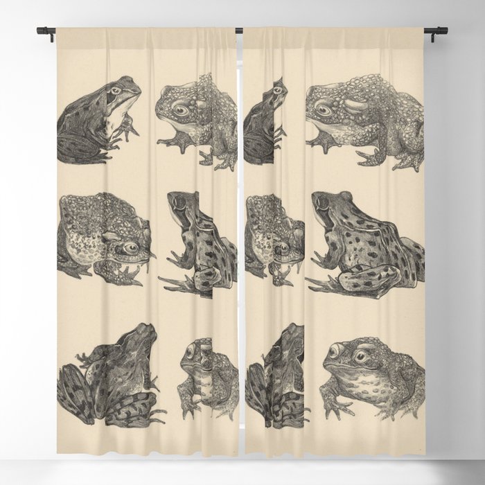  Six frogs and toads, Theo van Hoytema, 1878 - 1917 Blackout Curtain