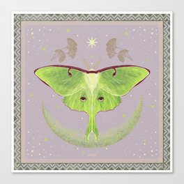 luna moth Canvas Print