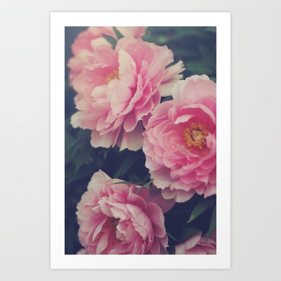 Peonies Art Print