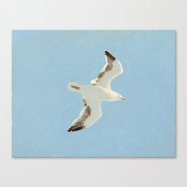 Sky Blue Sky - A Canvas Print