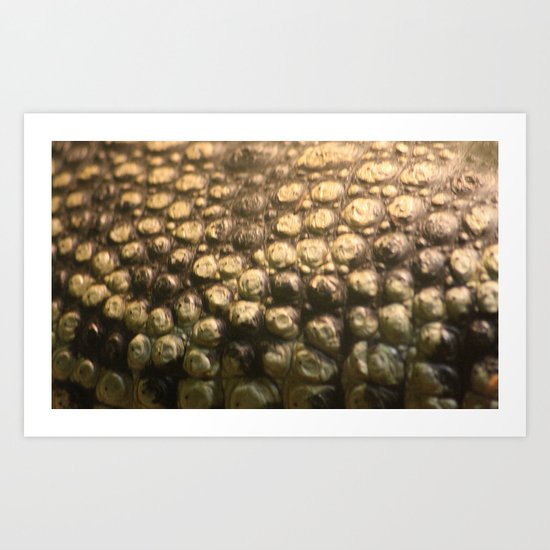 Croc Abstract I Art Print