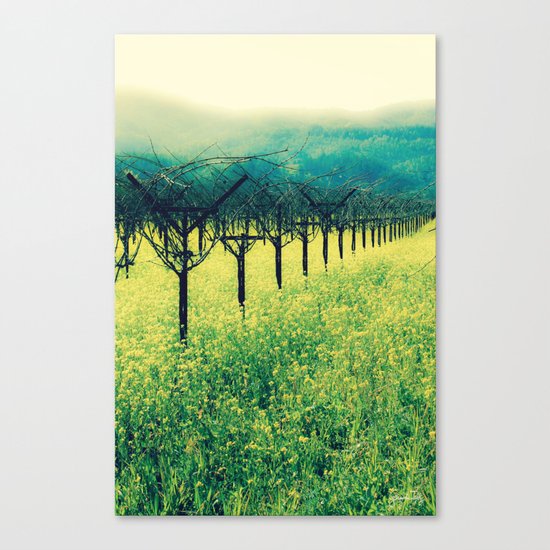 Winter Vineyard I - Serenity Canvas Print