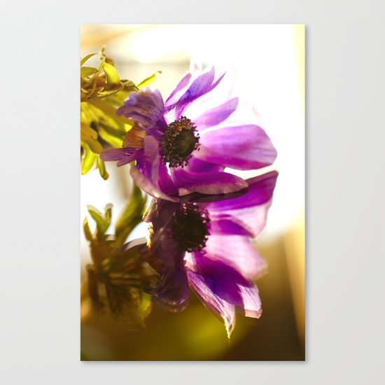 Flower Reflection Like A Kiss Canvas Print