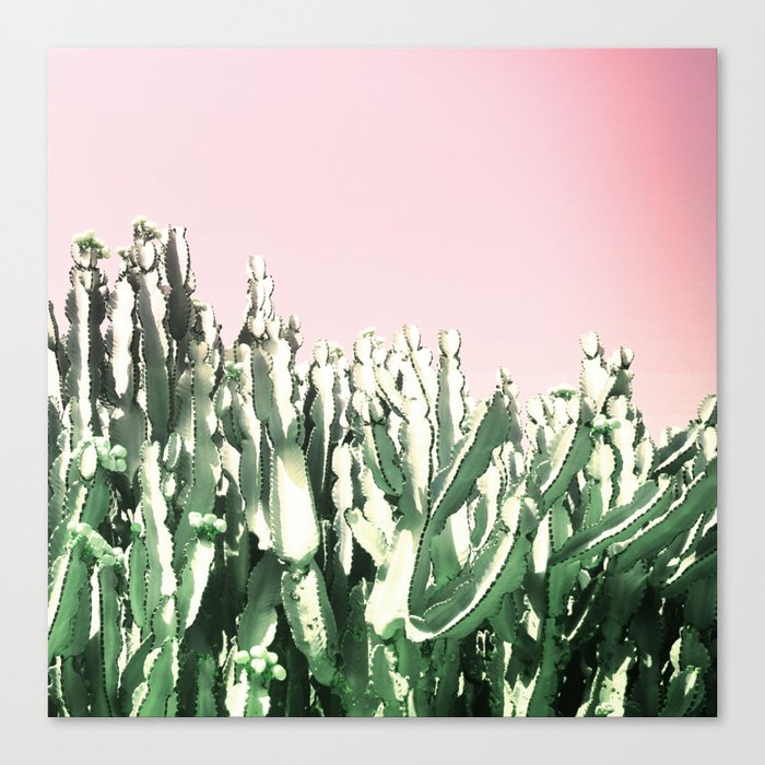Cactus Cactus Canvas Print