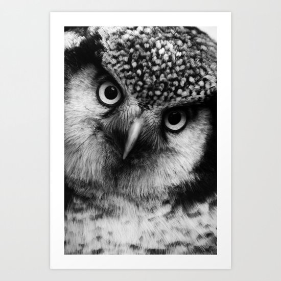 Owl series no.6 Art Print