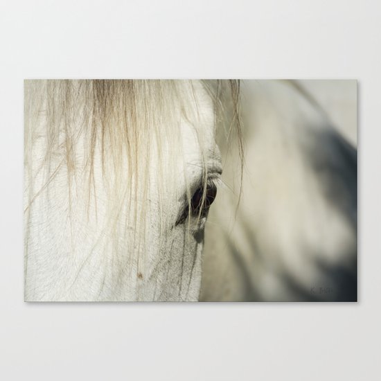 Behind the Veil Canvas Print