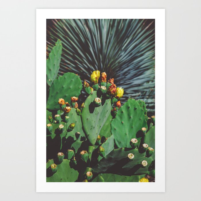 Wild Blooms Art Print