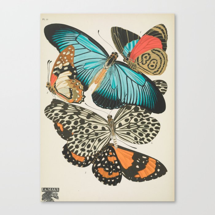 Butterfly Print by E.A. Seguy, 1925 #2 Canvas Print