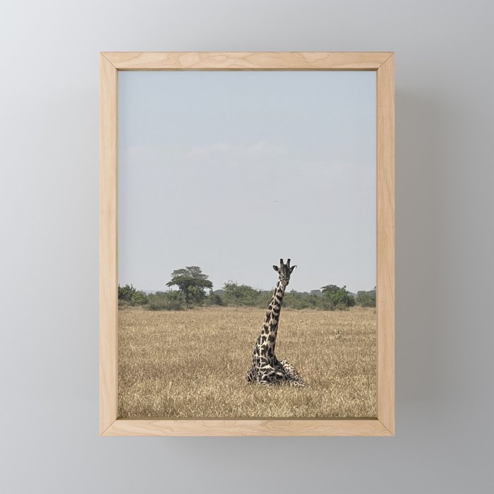Graceful Giraffe Framed Mini Art Print