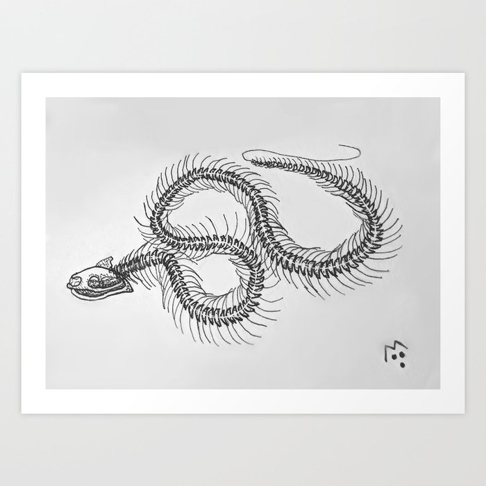 Snake Skeleton Drawing