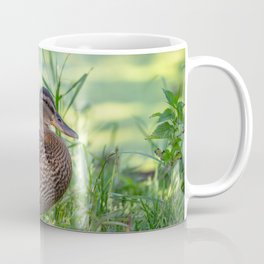 Wild duck stands on a green meadow Coffee Mug