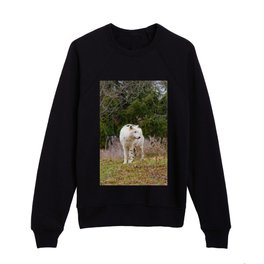 Into the Wild: Explore the Mysterious World of Wolves Kids Crewneck
