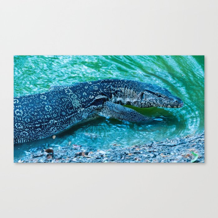 Asian Water Monitor Lizard Canvas Print