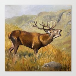 Deer need a cheer Canvas Print