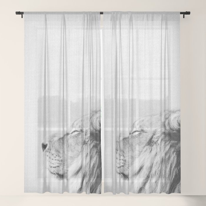 Sheer Curtain
