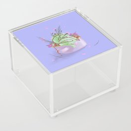 Colorful Dessert Acrylic Box