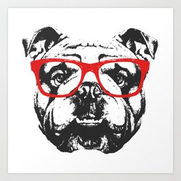 Portrait of English Bulldog with glasses. Art Print