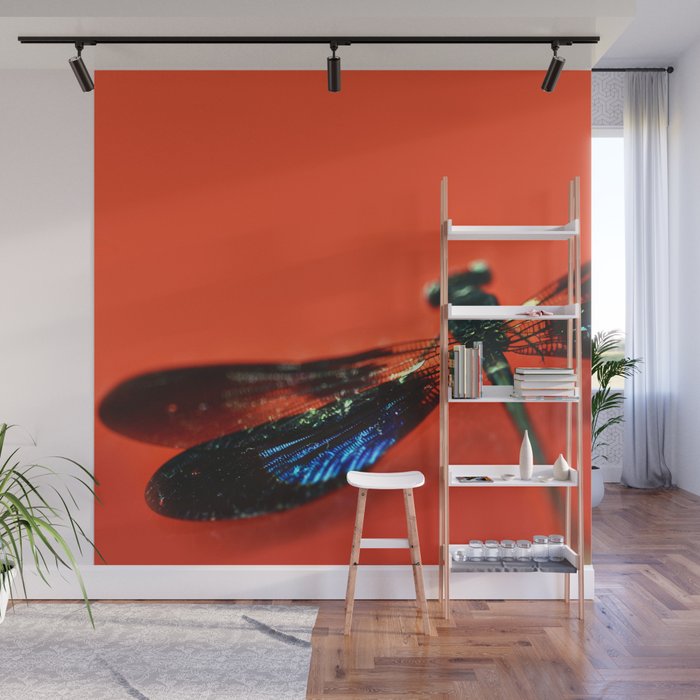 Dragonfly on Red 2 Wall Mural