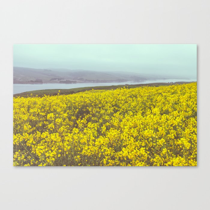 Mustard Field Canvas Print