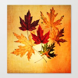 fallen leaves I Canvas Print