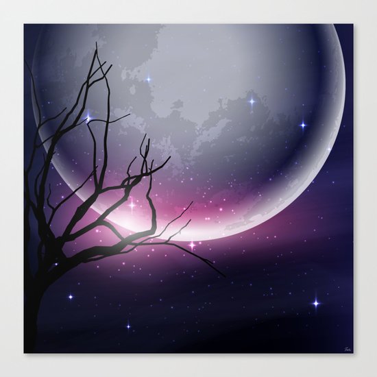 Face of the Moon Canvas Print