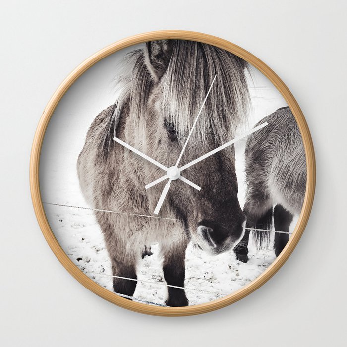 snowy Icelandic horse bw Wall Clock