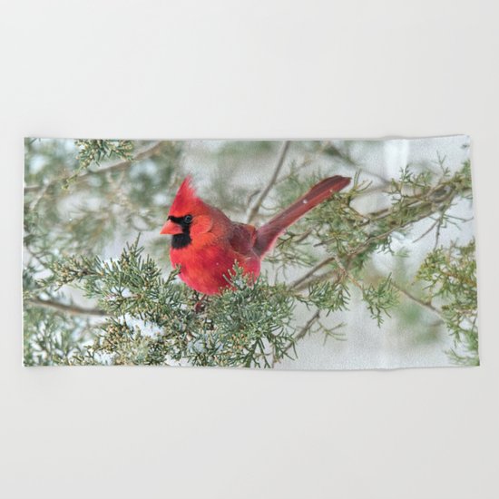 Cocky Cardinal Beach Towel