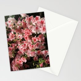 Burning Azalea Stationery Cards