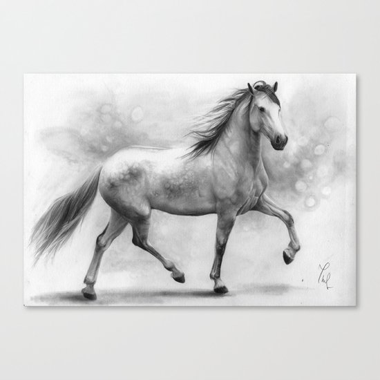 Horse II - pencil drawing Canvas Print