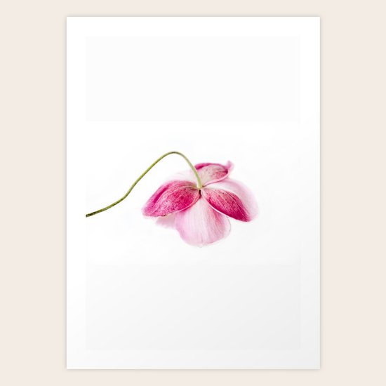 Ephemeral Art Print