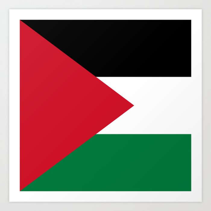 Flag of Palestine Art Print