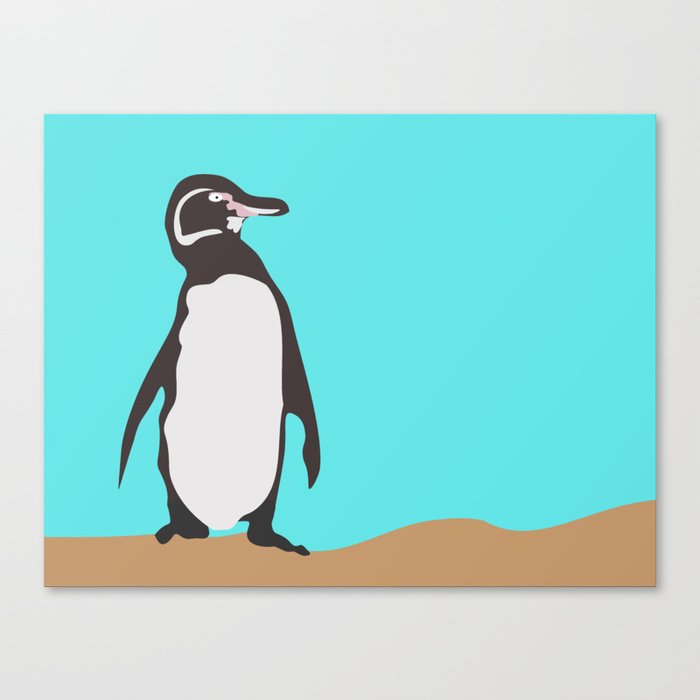 Galápagos Penguin Canvas Print