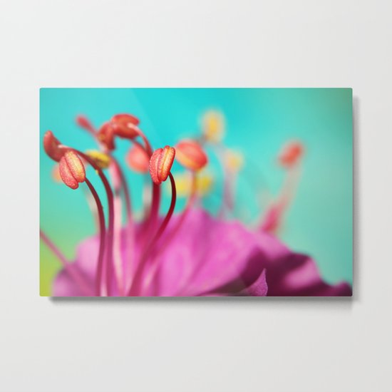 Geranium Dance Metal Print