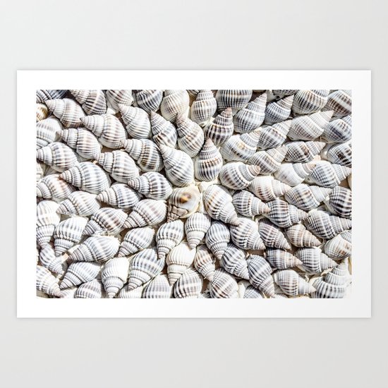 White Seashells Pattern Art Print
